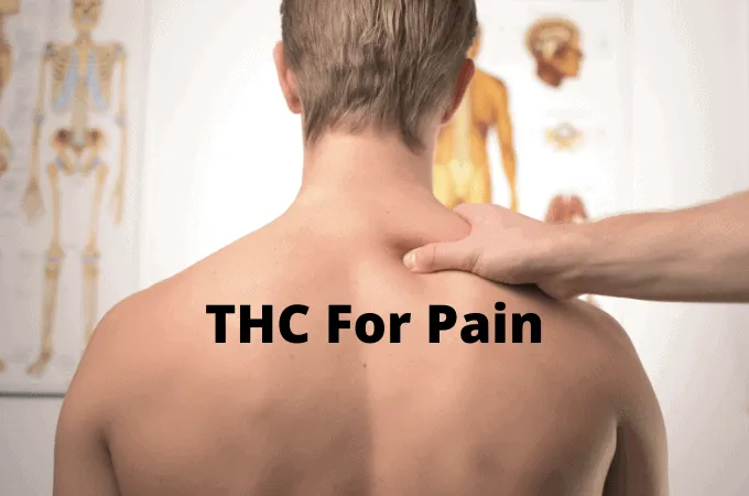 THC For Pain: Effects, Benefits and Uses